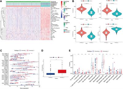 Development of an Immune-Related LncRNA Prognostic Signature for Glioma